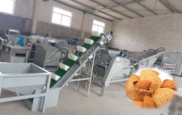almond cracker and sheller machine price